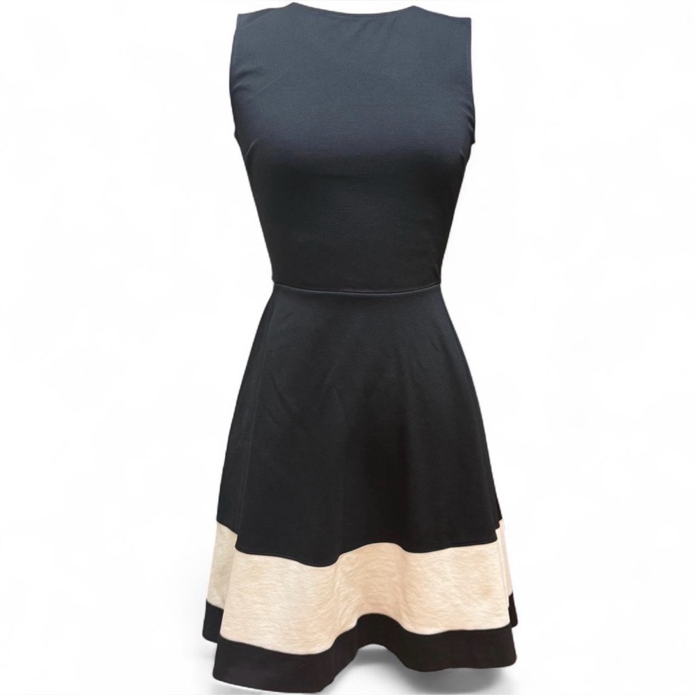 Black and Ivory color block stripe Sleeveless Fit-and-Flare Dress - Picture 4 of 4